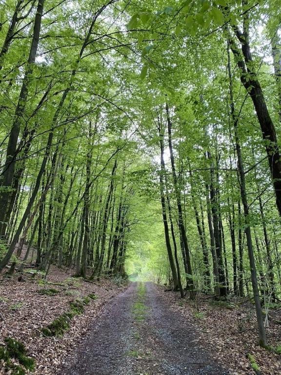 Ganze Ferienwohnung In Idyllischer Umgebung Werdohl Exteriör bild